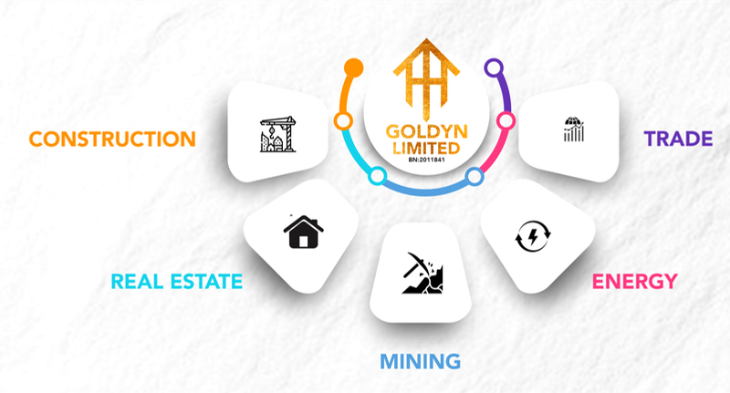 Goldyn Limited sectors: Construction, Trade, Real Estate, Mining, Energy